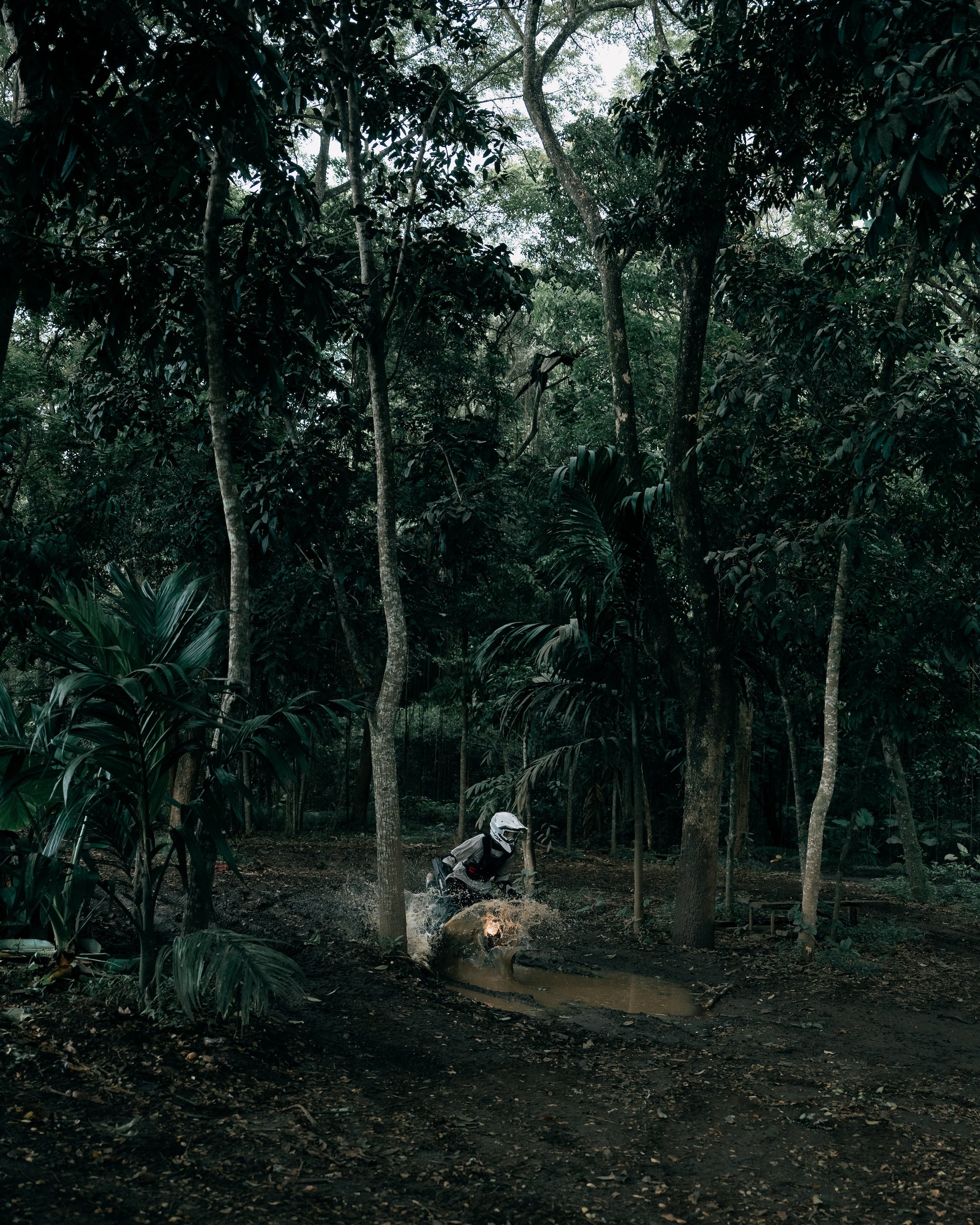 2 hour beach & forest ride