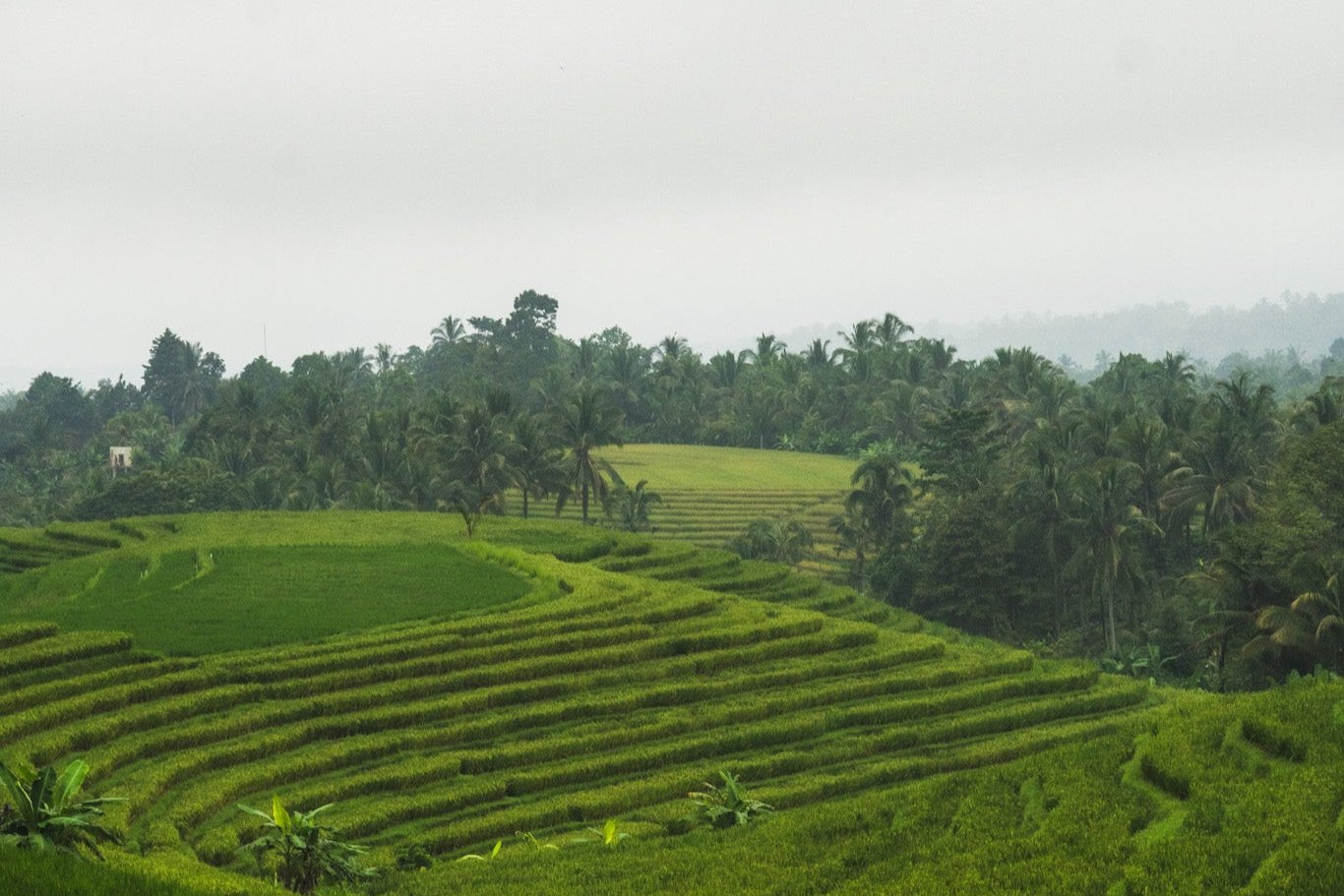 2-Day adventure: double half-day experience + volcano view stay