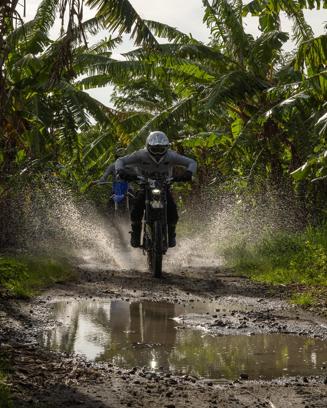 Half day: rice fields, forest & beach