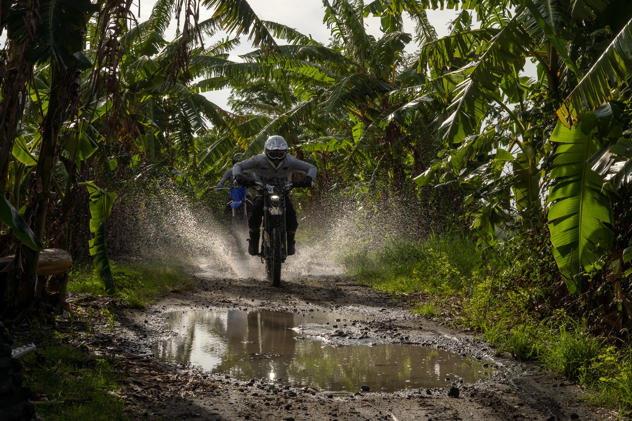 Tabanan: rice fields & beach (2 hours)